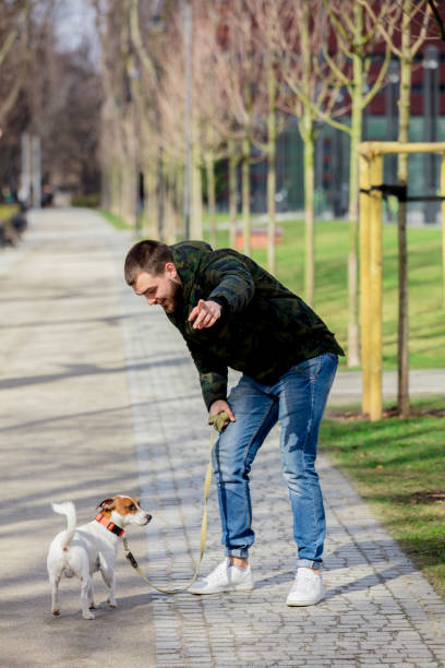 istock Young man with his dog, Jack Russell Terrier 1136692644