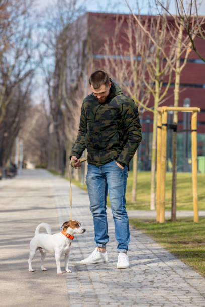 istock Young man with his dog, Jack Russell Terrier 1136692681