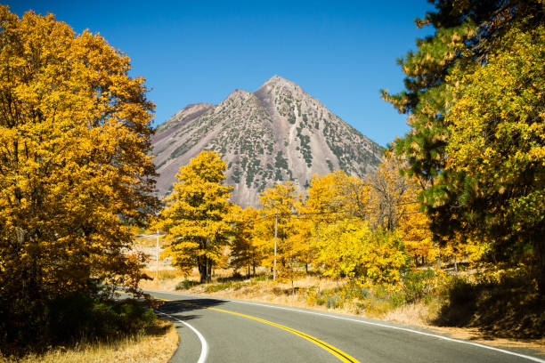 Autumn Eruption Black Butte volcanic cinder cone presents a stark contrast to surrounding fall color. Mount Shasta, California, USA mt shasta stock pictures, royalty-free photos & images