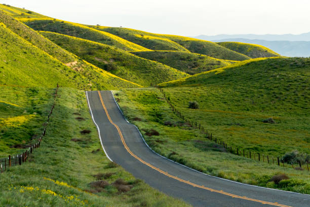 Welcome to Wonderland CA-58 leads to the wonderland of Carrizo Plain National Monument. Santa Margarita, California, USA carrizo plain stock pictures, royalty-free photos & images