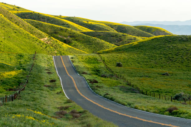 добро пожаловать в страну чудес - rolling hill field green стоковые фото и изображения