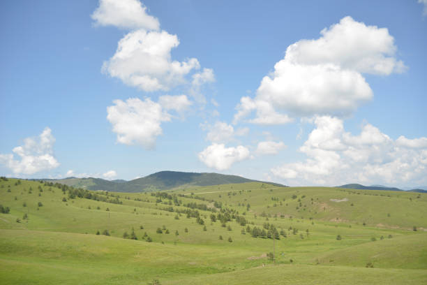 Mountain meadows on the highland