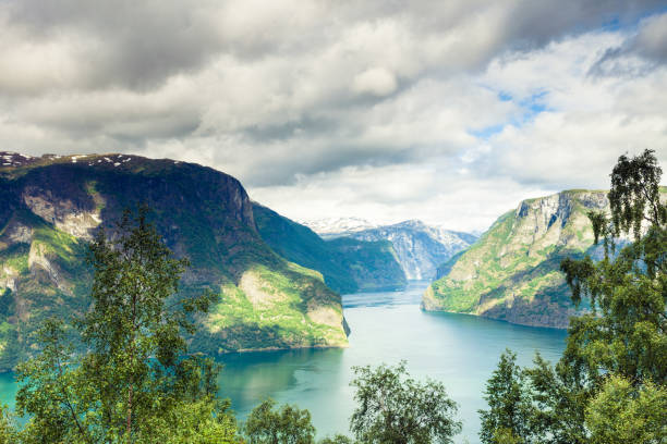 view of the fjords at stegastein viewpoint in norway - aurlandfjord imagens e fotografias de stock