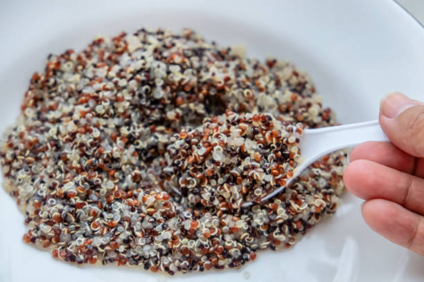 Young women hold a spoon of cooked quinoa Close up shot of quinoa seed with a white backgrounds Cup of Quinoa stock pictures, royalty-free photos & images