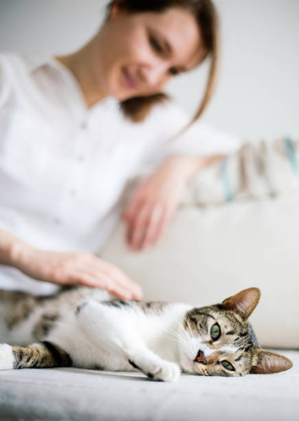 istock Happy cat and woman on bed cuddling 1136699713