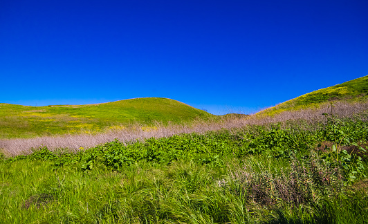 The Chino Hill state park located between the city of Chino hill and Yorba Linda in California. Only in spring season, we can see the greens and wild flowers. All the other season is dried and looks like a desert area.