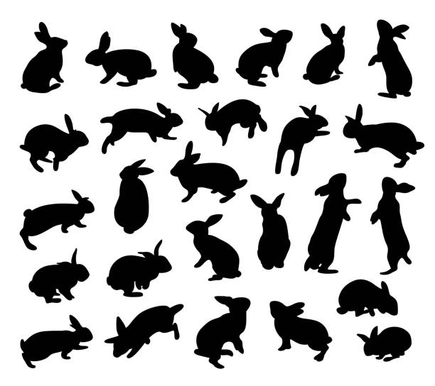 ilustraciones, imágenes clip art, dibujos animados e iconos de stock de conjunto de conejo silhouette. icono de animal plano. - lagomorfos