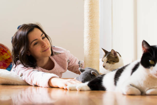 istock Young woman playing with her cats 1136704022