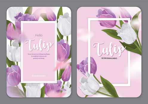 Blooming beautiful purple and white tulip flowers background template. Vector set of blooming floral for wedding invitations, greeting card, voucher, brochures and banners design.