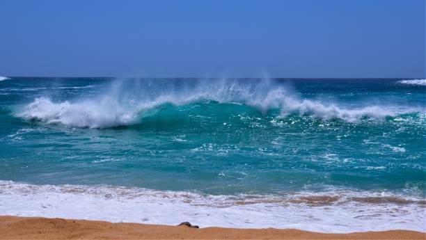Constructive Waves Real Example 50+ Constructive Waves Stock Photos, Pictures & Royalty-Free Images ...