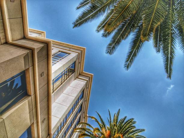 istock Looking up at building fascade. 1136707028