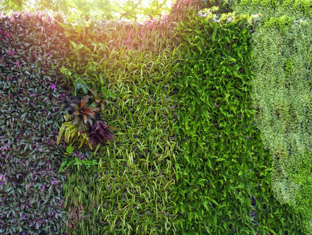 istock Eco green plant background 1136707850