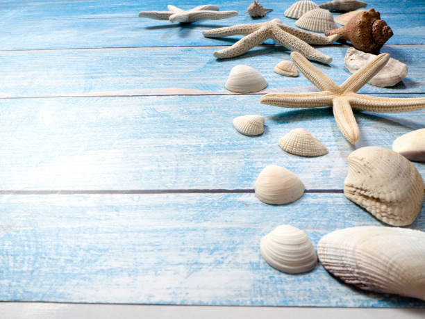 istock Travel summer Starfish on a bright blue wood background 1136707961