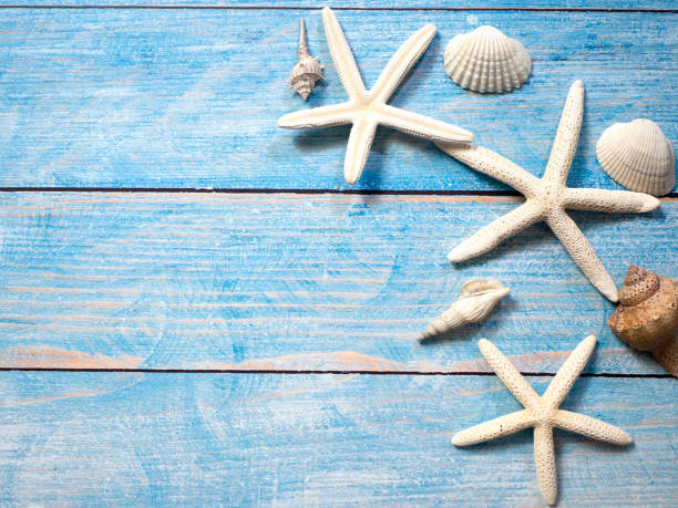 istock Travel summer Starfish on a bright blue wood background 1136708024