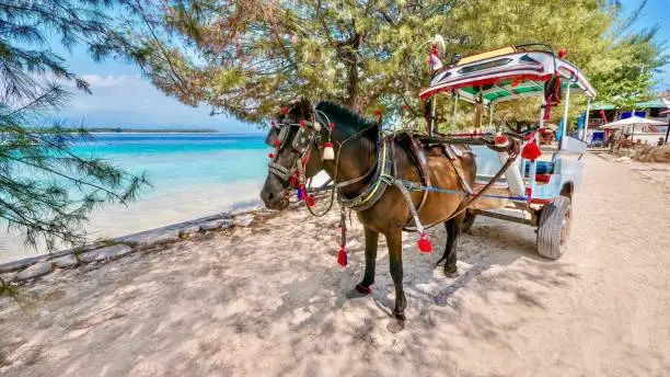 A brown colored horse is harnessed to a small passenger carriage which is decorated with festive, bright colors. The horse is standing on beautiful white sand next to the turquoise blue sea.