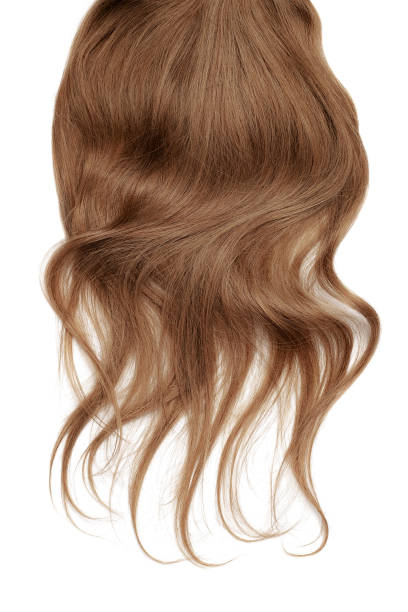 istock Long wavy brown hair on white background 1136709343