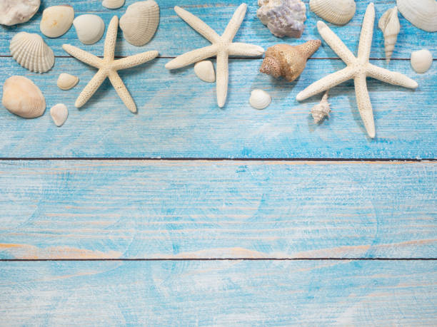 istock Travel summer Starfish on a bright blue wood background 1136714122