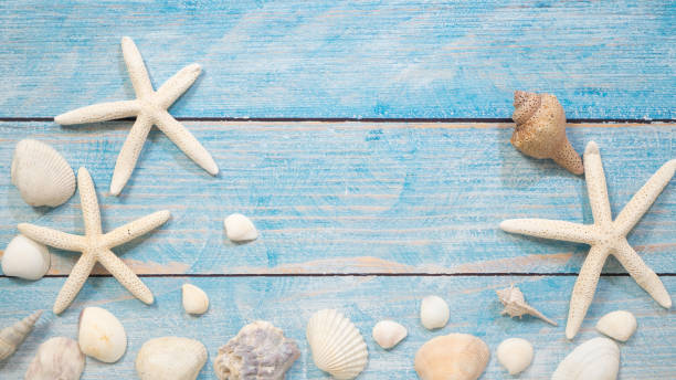 istock Travel summer Starfish on a bright blue wood background 1136714128