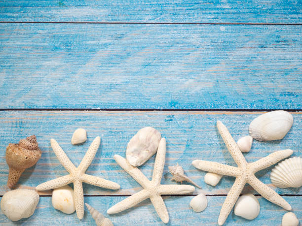 istock Travel summer Starfish on a bright blue wood background 1136714140