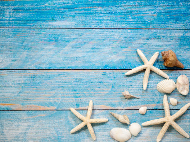 istock Travel summer Starfish on a bright blue wood background 1136714143