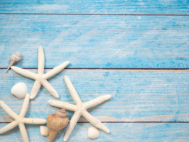 istock Travel summer Starfish on a bright blue wood background 1136714147