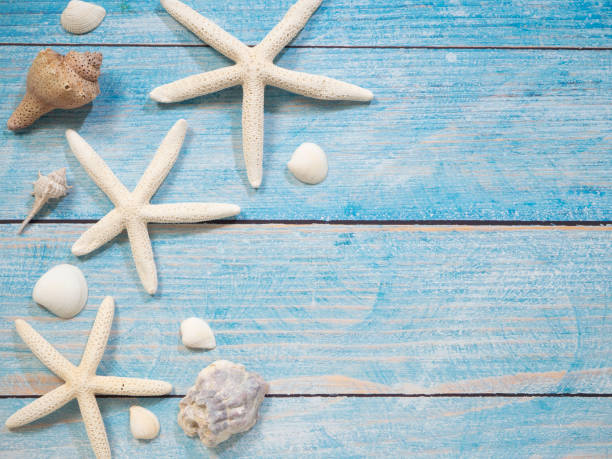 istock Travel summer Starfish on a bright blue wood background 1136714157