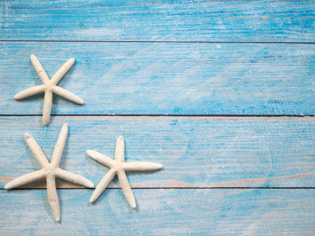 istock Starfish on a bright blue wood background, summer vacation concept 1136714167