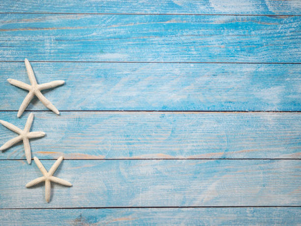 istock Starfish on a bright blue wood background, summer vacation concept 1136714169