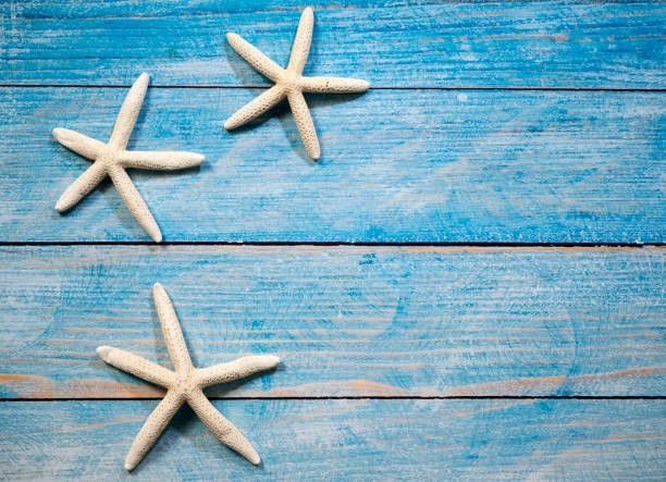istock Travel summer Starfish on a bright blue wood background 1136714248