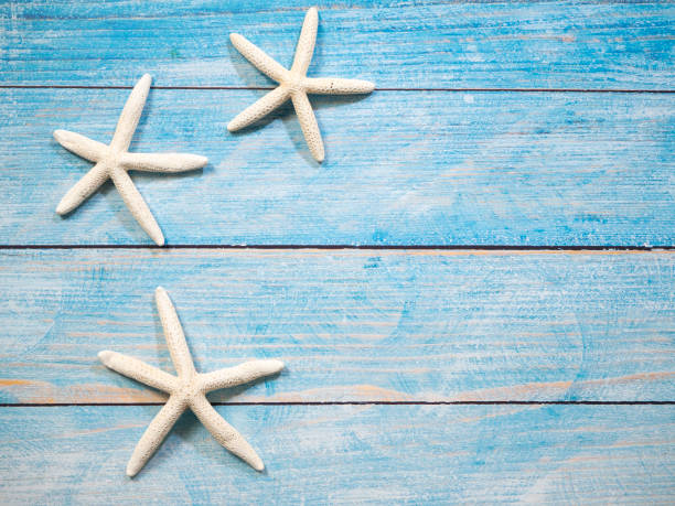 istock Travel summer Starfish on a bright blue wood background 1136714272