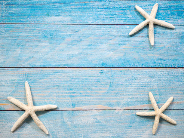 istock Travel summer Starfish on a bright blue wood background 1136714342