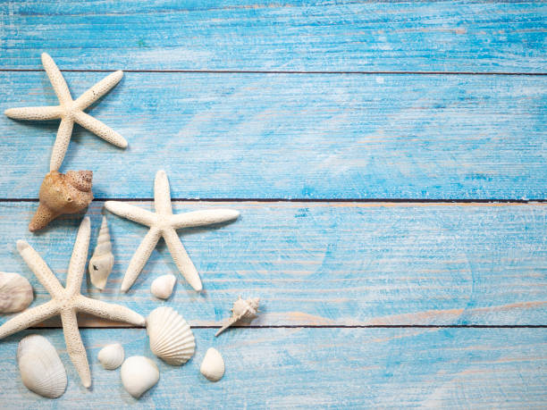 istock Travel summer Starfish on a bright blue wood background 1136714343