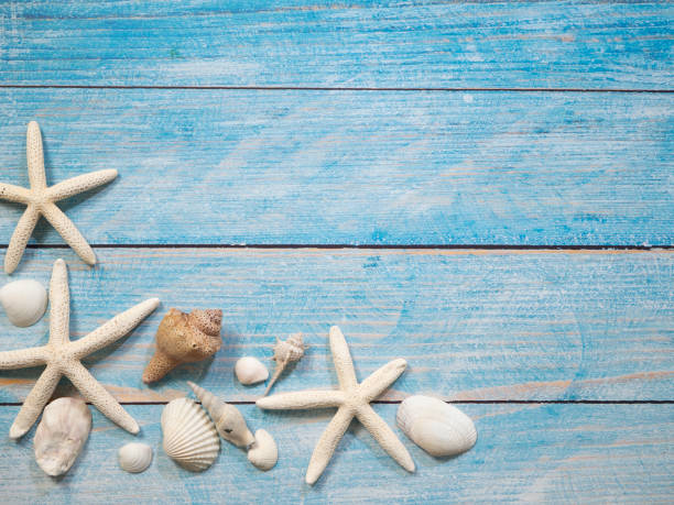 istock Travel summer Starfish on a bright blue wood background 1136714357