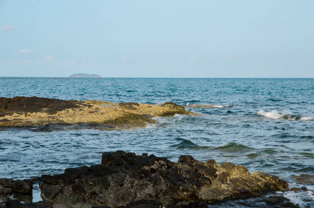 istock black coral with blue sea 1136714359