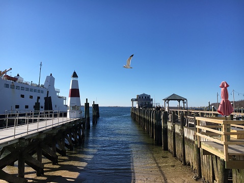 A seagull flying over the ferry docking area at Port Jefferson, Long Island, NY.