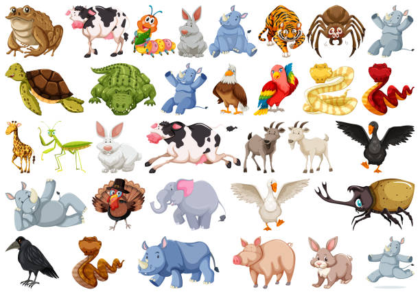 Set Of Animal Charcter Stock Illustration - Download Image Now - Animal,  Art, Cartoon - iStock