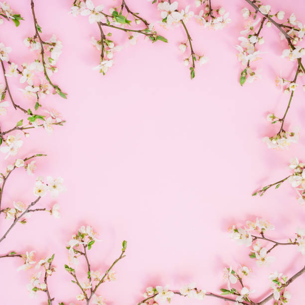 istock Floral frame of spring flowers isolated on pink background. Flat lay, top view 1136716972