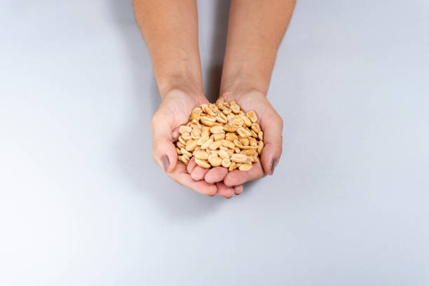 istock Roasted peanuts. Female hand holding roasted peanut leaning on gray background 1136720791