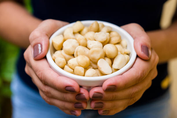 Hand of brunette model holding white pot with macadamia.
