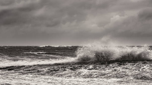 istock Splash of huge waves on a rocky shore 1136728718