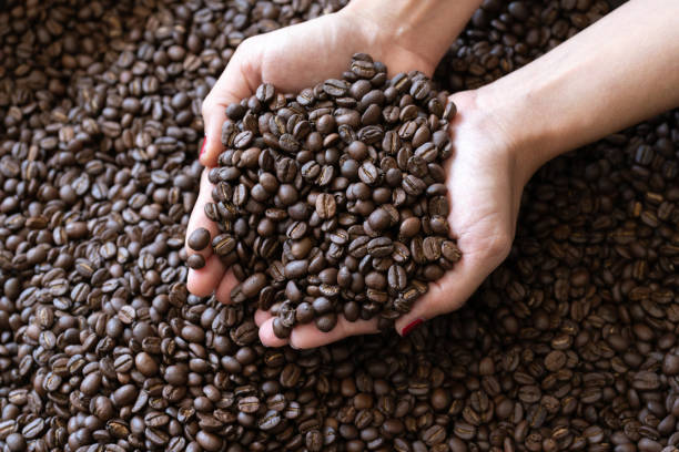 istock coffee beans roasted coffee beans on woman hand background texture 1136734132