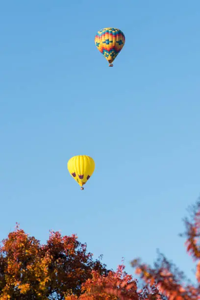 Balloon, Napa Valley, CA