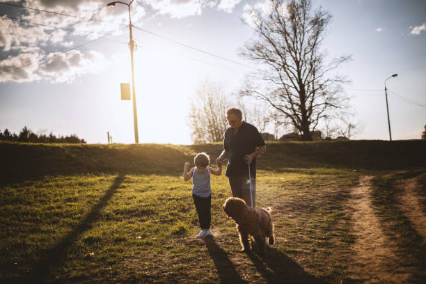istock Family walking with dog 1136735325