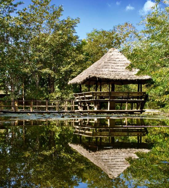 istock Reflecting Pool, Sala, Thai Buddhist Temple, Lubini, Nepal 1136736029