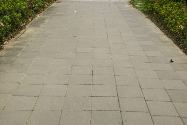istock Trail in the park. Natural scenery in Asia. 1136736105