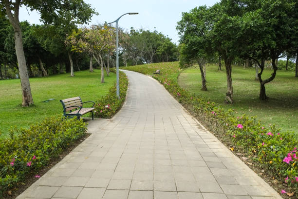 istock Trail in the park. Natural scenery in Asia. 1136736138
