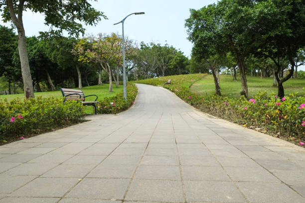 istock Trail in the park. Natural scenery in Asia. 1136736171