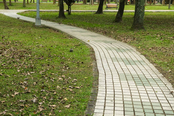 istock Trail in the park. Natural scenery in Asia. 1136736305