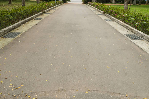 istock Trail in the park. Natural scenery in Asia. 1136736388