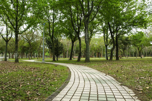 istock Trail in the park. Natural scenery in Asia. 1136736411